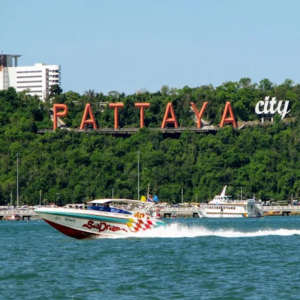 Thailand Tourist E-Visa & Arrival Assistance
